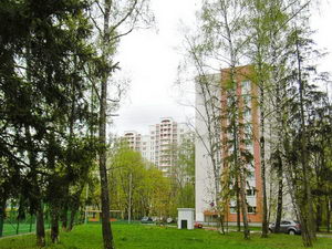 Зеленый 3 микрорайон города Зеленограда, инфраструктура, типы домов, полезные телефоны